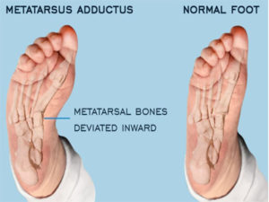 Site - Orthopaedic Surgeon Website Template