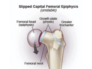 Site - Orthopaedic Surgeon Website Template